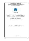 Khóa luận tốt nghiệp Kế toán - Kiểm toán: Hoàn thiện công tác kế toán doanh thu, chi phí và xác định kết quả kinh doanh tại Công ty Cổ phần Xây lắp và Thiết bị điện Hải Phòng.