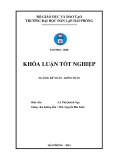 Khóa luận tốt nghiệp Kế toán - Kiểm toán: Hoàn thiện tổ chức kế toán doanh thu, chi phí và xác định kết  quả kinh doanh tại Công ty TNHH Thương mại Đan Việt