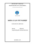 Khóa luận tốt nghiệp Kế toán - Kiểm toán: Hoàn thiện công tác lập và phân tích Bảng cân đối kế toán tại công ty TNHH ô tô xe máy Thuận Phong