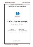 Khóa luận tốt nghiệp Kế toán - Kiểm toán: Hoàn thiện tổ chức kế toán doanh thu, chi phí và xác định kết quả kinh doanh tại Công ty TNHH ô tô xe máy Thuận Phong