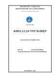 Khóa luận tốt nghiệp Kế toán - Kiểm toán: Hoàn thiện công tác lập và phân tích Bảng cân đối kế toán tại công ty Cổ phần ISEA