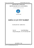 Khóa luận tốt nghiệp Kế toán - Kiểm toán: Hoàn thiện công tác kế toán hàng hóa tại Công ty TNHH Thương mại Mê Linh