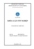 Khóa luận tốt nghiệp Kế toán - Kiểm toán: Hoàn thiện công tác kế toán hàng hoá tại Công ty TNHH Du lịch Dịch vụ Thương mại Lam Việt