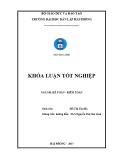 Khóa luận tốt nghiệp Kế toán - Kiểm toán: Hoàn thiện công tác kế toán hàng hóa tại Công ty TNHH Thương mại Dịch vụ Đông Nam Á