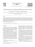 Mineralogical study of polymer modified mortar with silica fume