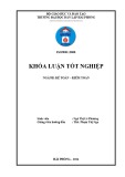 Khóa luận tốt nghiệp Kế toán - Kiểm toán: Hoàn thiện công tác kế toán doanh thu, chi phí và xác định kết quả kinh doanh tại Công ty Cổ phần Tư vấn Đầu tư Việt Úc