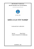 Khóa luận tốt nghiệp Kế toán - Kiểm toán: Hoàn thiện công tác tổ chức lập và phân tích Bảng cân đối kế toán tại công ty Cổ phần Điện tử Hải Phòng