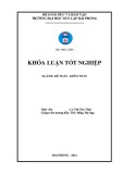 Khóa luận tốt nghiệp Kế toán - Kiểm toán: Hoàn thiện công tác kế toán lập và phân tích Báo cáo kết quả kinh doanh tại công ty TNHH nội thất thủy SEJIN-VINASHIN