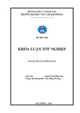 Khóa luận tốt nghiệp Tài chính - Ngân hàng: Hoàn thiện công tác lập và phân tích báo cáo kết quả hoạt động kinh doanh tại công ty Cổ phần kinh doanh xuất nhập khẩu thủy sản Hải Phòng