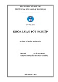 Kế toán tốt nghiệp Kế toán - Kiểm toán: Hoàn thiện công tác lập và phân tích Bảng cân đối kế toán tại công ty cổ phần giống cây trồng Quảng Ninh