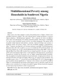 Multidimensional poverty among households in Southwest Nigeria