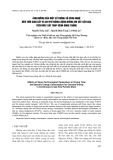 Ảnh hưởng của một số thông số công nghệ đến thời gian sấy và chi phí năng lượng riêng khi sấy sắn cục trên máy sấy tháp kênh dòng thẳng