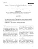 Isolation of trichomes from wheat and other species of flowering plants