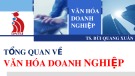 Bài giảng Văn hóa doanh nghiệp: Tổng quan văn hóa doanh nghiệp