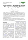 Asexual morphological differences in male and female plants of Commiphora wightii (Arn.) Bhandari - An endangered medicinal plant