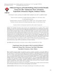 Different degrees of partial melting of the enriched mantle source for plio−quaternary basic volcanism, toprakkale (Osmaniye) region, Southern Turkey