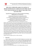 Khả năng nitrit hóa amoni của chủng vi khuẩn Pseudomoonas aeruginosa HT1 phân lập từ nước thải sau biogas của trang trại chăn nuôi lợn ở Hà Tĩnh