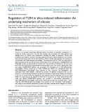 Regulation of TLR4 in silica-induced inflammation: An underlying mechanism of silicosis