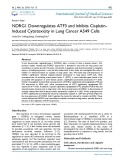 NDRG1 downregulates ATF3 and inhibits cisplatininduced cytotoxicity in lung cancer A549 cells