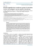 Borrelia burgdorferi basic membrane protein A stimulates murine macrophage to secrete specific chemokines