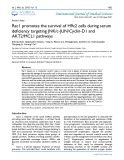 Rac1 promotes the survival of H9c2 cells during serum deficiency targeting JNK/c-JUN/Cyclin-D1 and AKT2/MCL1 pathways