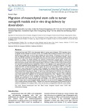 Migration of mesenchymal stem cells to tumor xenograft models and in vitro drug delivery by doxorubicin