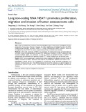 Long non-coding RNA NEAT1 promotes proliferation, migration and invasion of human osteosarcoma cells