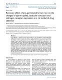 Recovery effect of pre-germinated brown rice on the changes of sperm quality, testicular structure and androgen receptor expression in a rat model of drug addiction