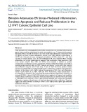 Bilirubin attenuates ER stress-mediated inflammation, escalates apoptosis and reduces proliferation in the LS174T colonic epithelial cell line