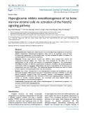 Hyperglycemia inhibits osteoblastogenesis of rat bone marrow stromal cells via activation of the Notch2 signaling pathway