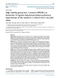 High mobility group box 1 protein (HMGB1) as biomarker in hypoxia-induced persistent pulmonary hypertension of the newborn: A clinical and in vivo pilot study