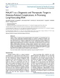MALAT1 as a diagnostic and therapeutic target in diabetes-related complications: A promising long noncoding RNA