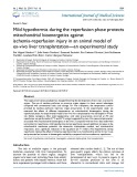 Mild hypothermia during the reperfusion phase protects mitochondrial bioenergetics against ischemia-reperfusion injury in an animal model of ex-vivo liver transplantation - an experimental study