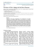 Function of glia in aging and the brain diseases
