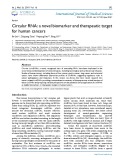 Circular RNA: A novel biomarker and therapeutic target for human cancers