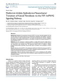 Metformin inhibits epithelial to mesenchymal transition of keloid fibroblasts via the HIF-1α/PKM2signaling pathway