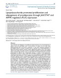 Lipopolysaccharide promoted proliferation and adipogenesis of preadipocytes through JAK/STAT and AMPK-regulated cPLA2 expression
