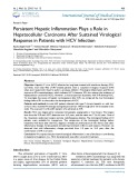 Persistent hepatic inflammation plays a role in hepatocellular carcinoma after sustained virological response in patients with HCV infection