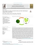 Novel insights into plant-associated archaea and their functioning in arugula (Eruca sativa Mill.)