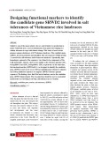Designing functional markers to identify the candidate gene SRWD2 involved in salt tolerances of Vietnamese rice landraces