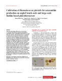 Cultivation of Haematococcus pluvialis for astaxanthin production on angled bench-scale and large-scale biofilm-based photobioreactors