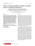 Studies of common antibiotic resistance-associated genes of Acinetobacter baumannii