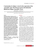 Construction of a binary vector for the expression of the Aspergillus niger McoD laccase gene in the industrial filamentous fungus Aspergillus oryzae