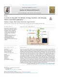 A review on the plant microbiome: Ecology, functions, and emerging trends in microbial application