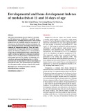 Developmental and bone development indexes of medaka fish at 11 and 16 days of age