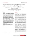Species composition and distribution of brachyuran crabs in Duyen Hai town, Tra Vinh province