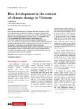 Rice development in the context of climate change in Vietnam