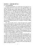 Tóm tắt Luận án Tiến sỹ Kinh tế: Hoàn thiện tổ chức kiểm soát nhằm tăng cường chất lượng thông tin KTTC của các CTNY trên TTCK Việt Nam