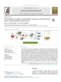 Bioremediation of piggery slaughterhouse wastewater using the marine protist, Thraustochytrium kinney VAL-B1