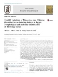 Monthly variations of Rhinoestrus spp. (Diptera: Oestridae) larvae infesting donkeys in Egypt: Morphological and molecular identification of third stage larvae